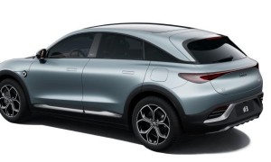 中国人保携手温州红特汽车购车嘉年华