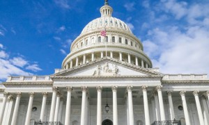 美国专家：拜登对华新关税或存在漏洞