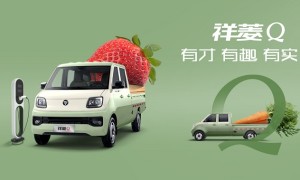 中国人保携手杭州元大汽车线上团购会