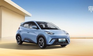 中国人保携手嘉兴盛世汽车线上团购会