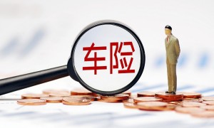 中国人保携手温州市文成县屿根社区开展“智慧投资，安全未来”宣传活动