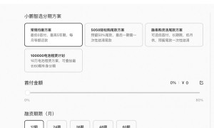 小鹏融资租赁公司注册资本翻番，达2.5亿美元